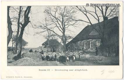 Borger, III - Drouwenweg naar Alingh-hoek ansichtkaart: Borger, III - Drouwenweg naar Alingh-hoek
