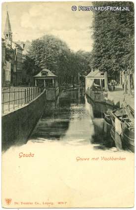 ansichtkaart: Gouda, Gouwe met Vischbanken