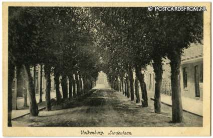 ansichtkaart: Valkenburg LB, Lindenlaan