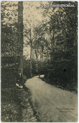 ansichtkaart: Ulvenhout, Prinsessenlaantje