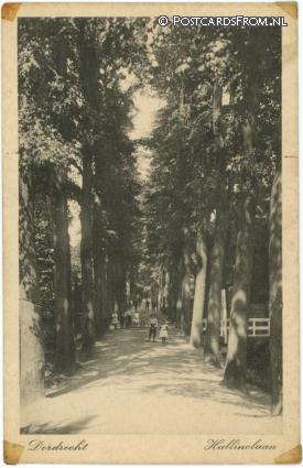 Dordrecht, Hallinclaan ansichtkaart: Dordrecht, Hallinclaan